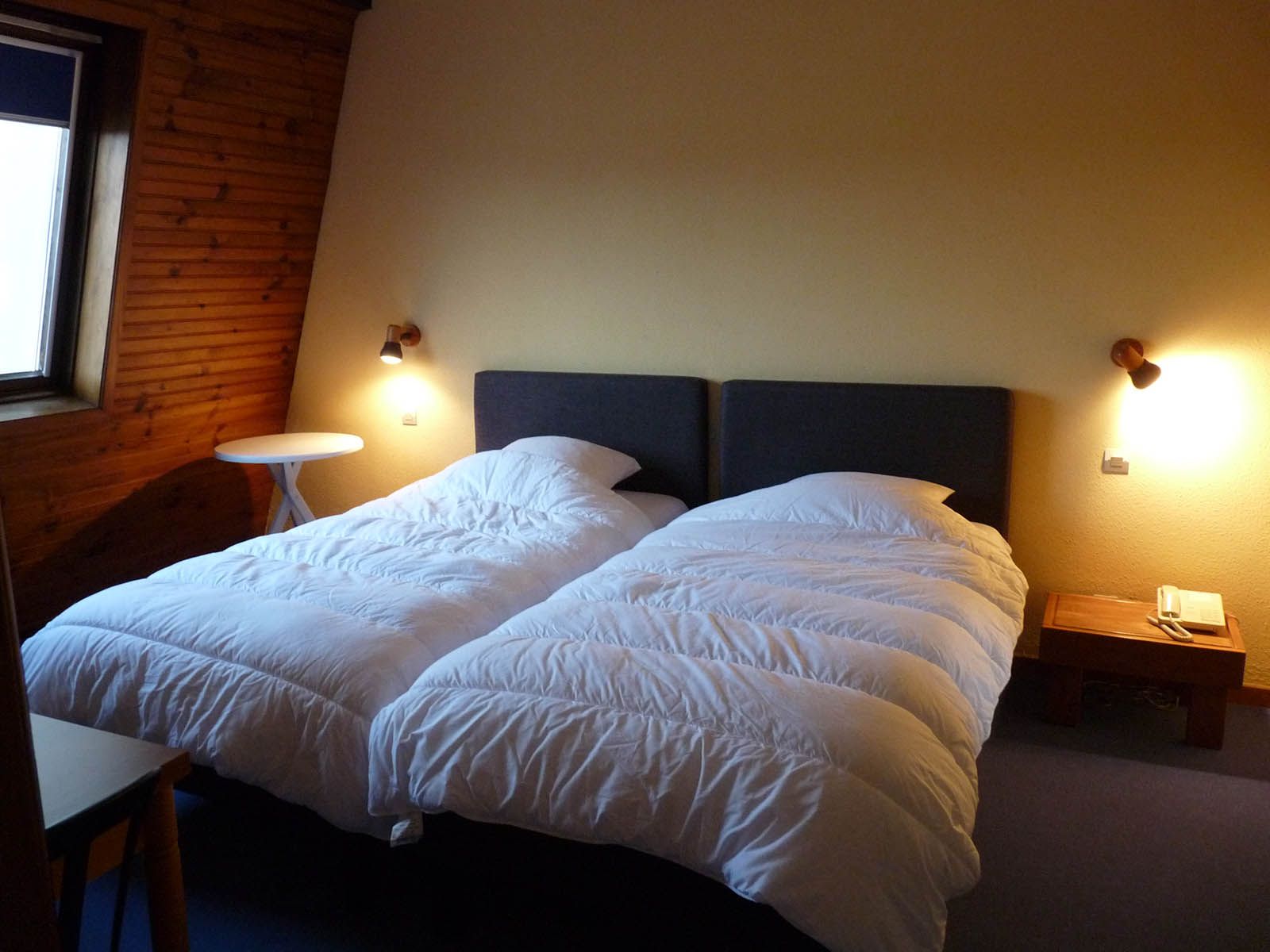 Hôtel-restaurant Aux Bords du Rhin à Rhinau, frontière allemande, proche europapark et rulantica